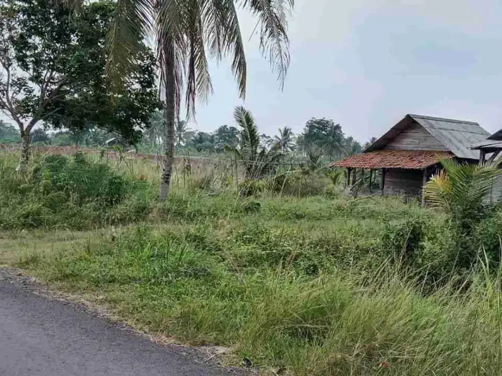 tanah 5 hektar dekat gerbang tol kalianda