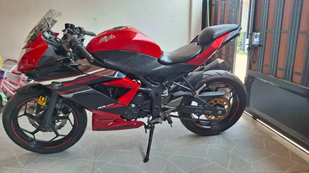 Kawasan ninja 250RR mono