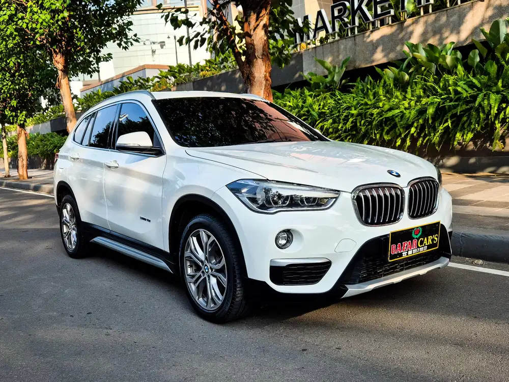 Bmw X1 2017 Panoramic