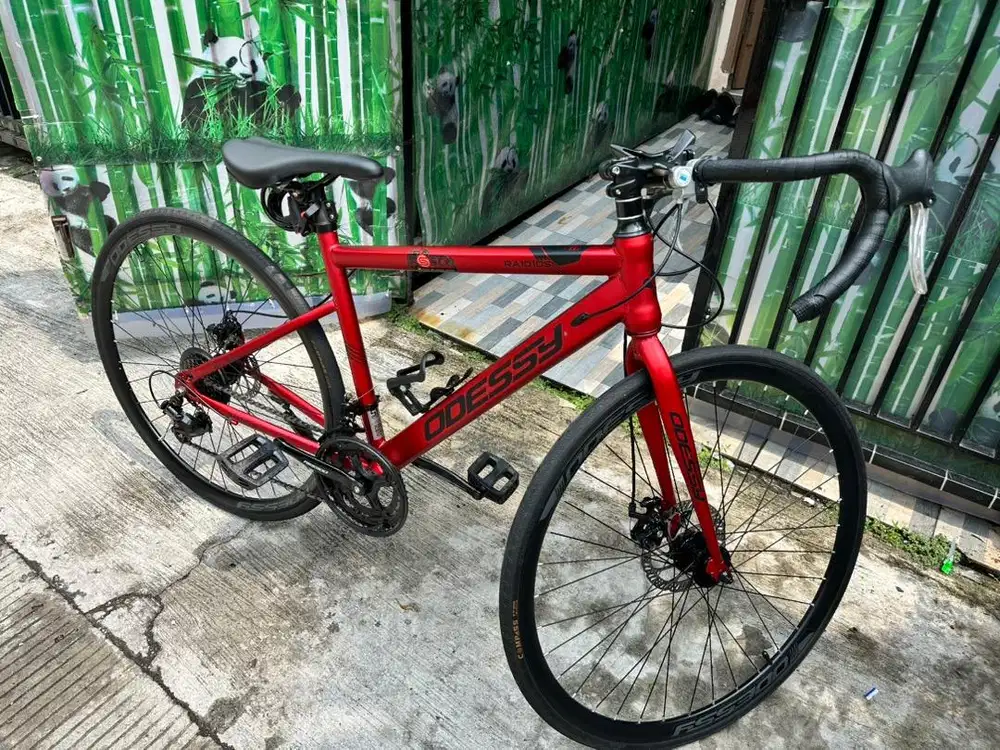 Sepeda Roadbike Odessy - Edisi Mau Pindahan