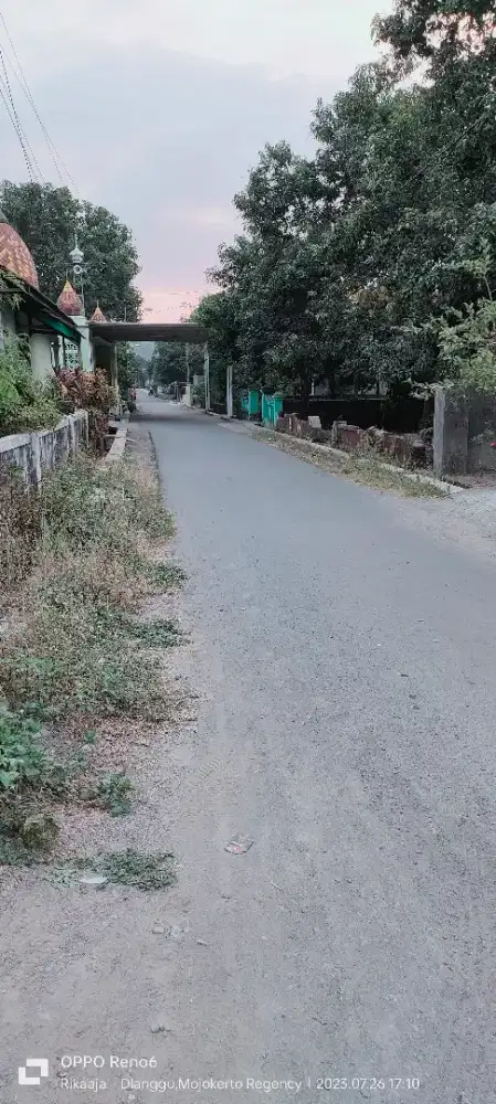 Dijual tanah didesa Dlanggu Mojokerto