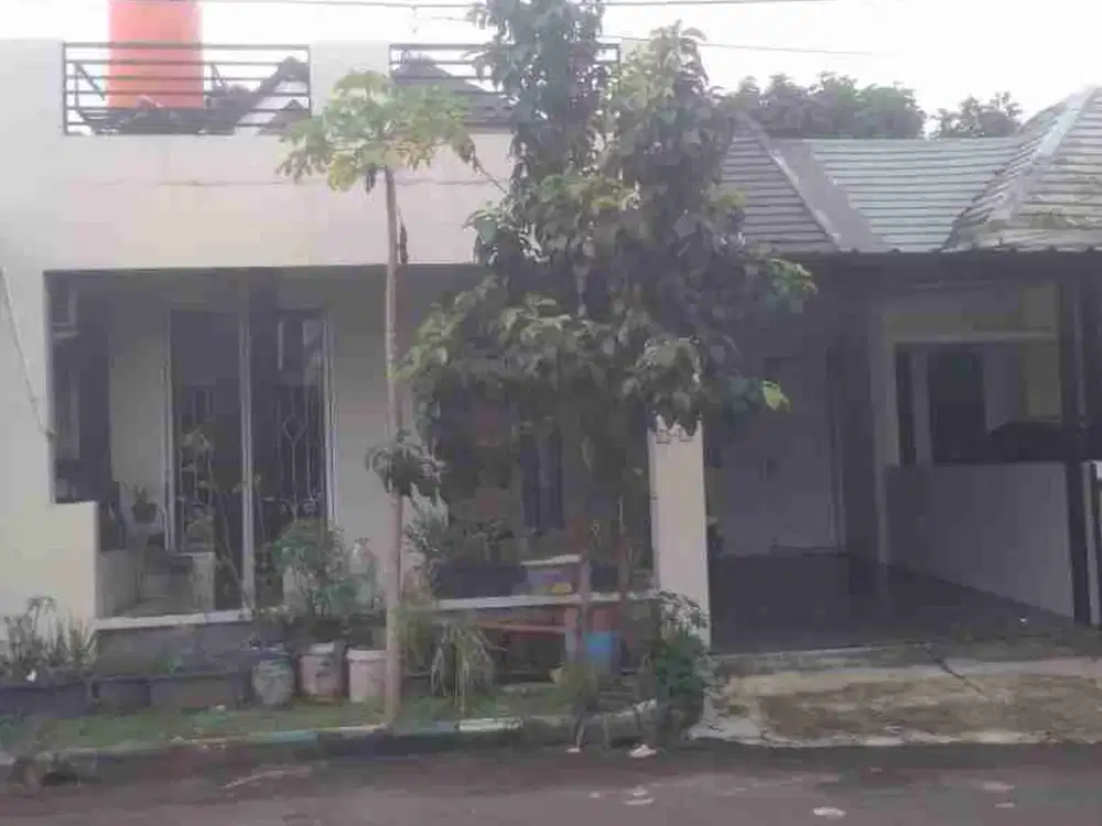 rumah murah di Serpong Park bsd jelupang