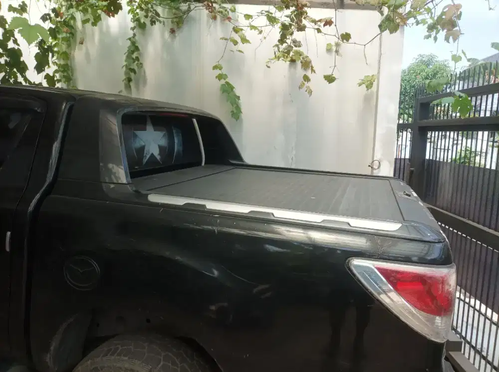 Rollbar Wildtrak Ford Ranger 2.2