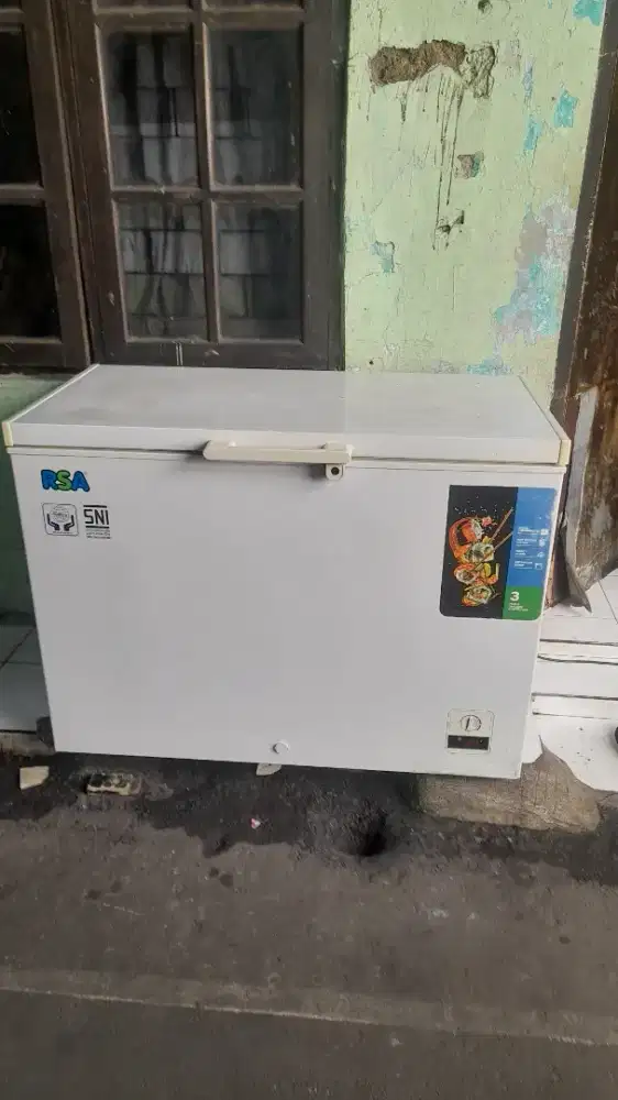 frezer BOX  RSA  310 L