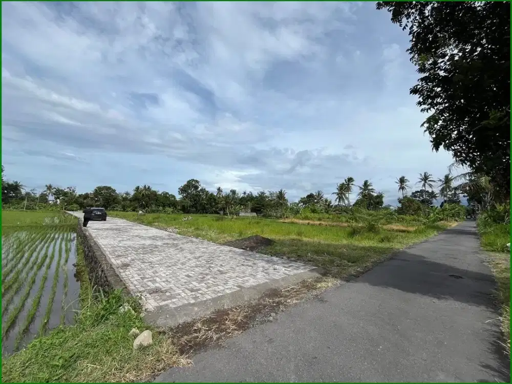 Tanah Jogja di Jl. Kembangan-Rejodani Dekat Raminten Jakal