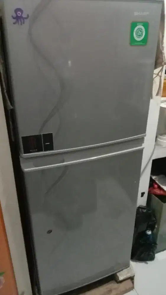 Kulkas sharp 2 pintu