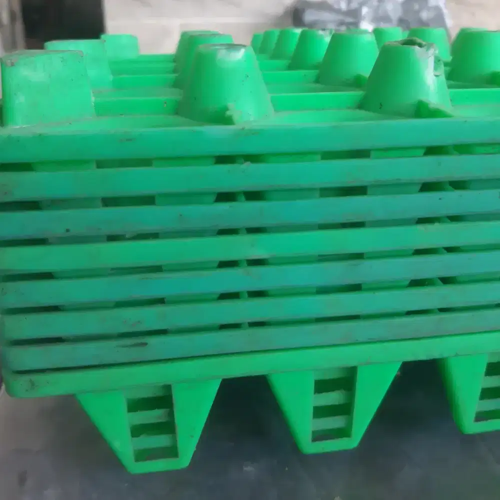 Tray Telur isi 25 butir (8 pcs)