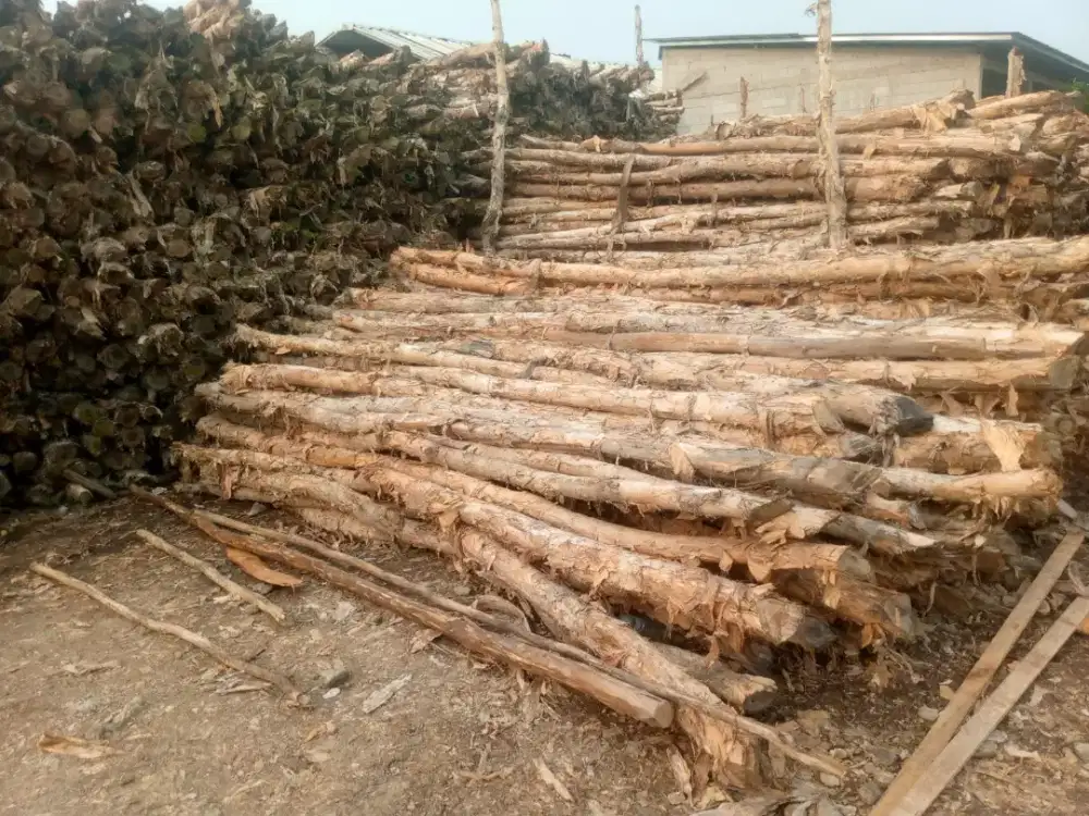 Jual beli kayu/gelam