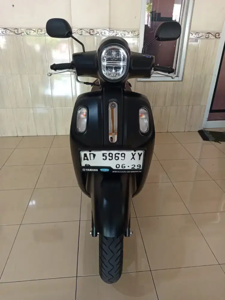 Fazio 2024 istimewa
