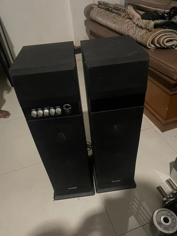 Speaker cores 20.000hz