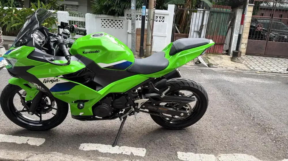 Kawasaki 250 ABS SE