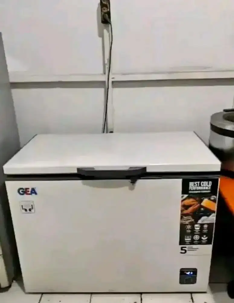Freezer Box GEA AB-318