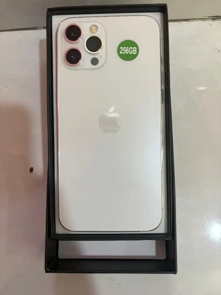IPHONE 12 Promax 256 silver inter