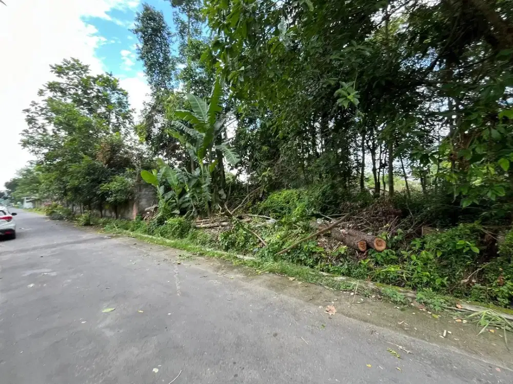 Tanah Dijual Jogja di Tirtomartani Dekat JL. Jogja-Solo