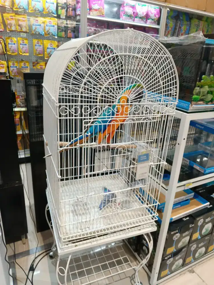 BIRD CAGE XL LOKA V2 51x51x150cm WHITE