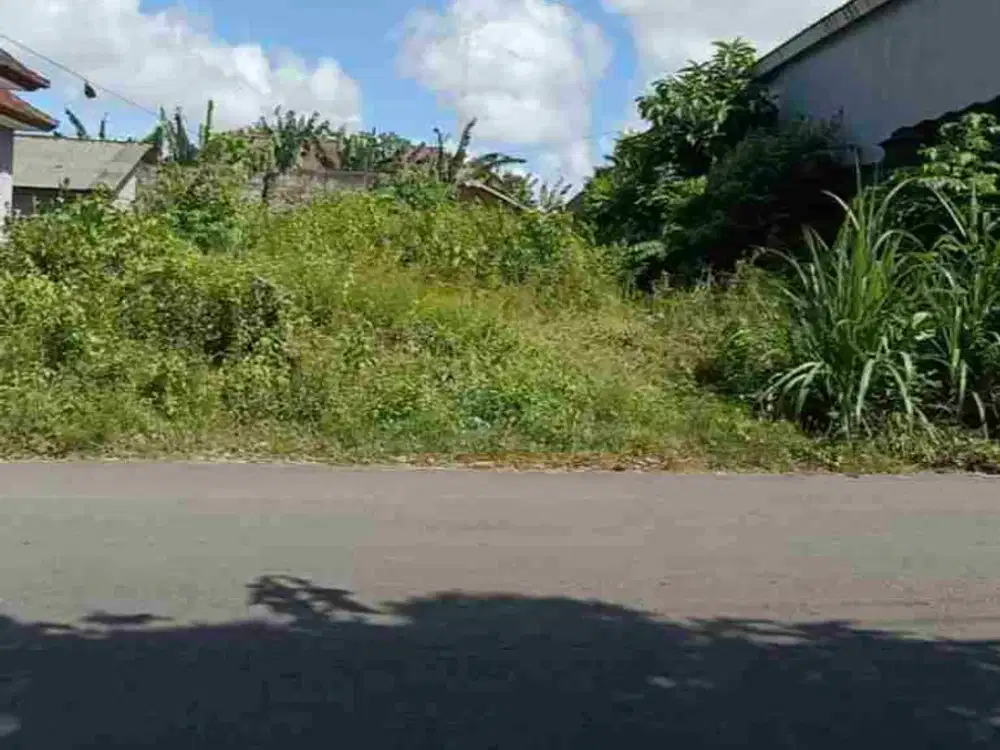 dijual tanah 2,32 are IDR 750 juta per are dikampus unud jimbaran Kuta Selatan Badung Bali