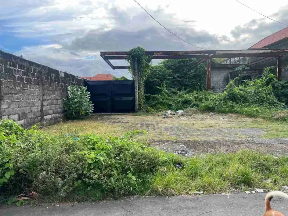 Di jual tanah jalan Tukad Badung , Renon, Denpasar, Bali