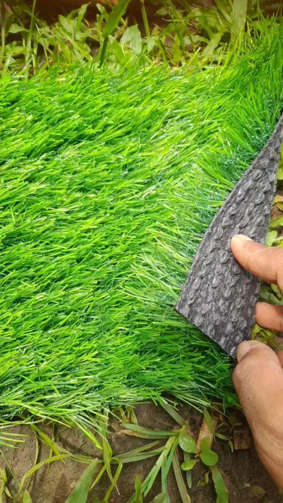 RUMPUT SINTETIS TERLARIS UNTUK DEKORASI LANTAI DAN BALKON RUMAH