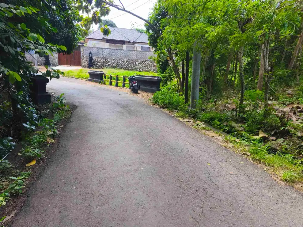 dijual tanah 2035m² IDR 450 juta per are dekat poltekpar Bali STP nusa dua Kuta Selatan Badung Bali