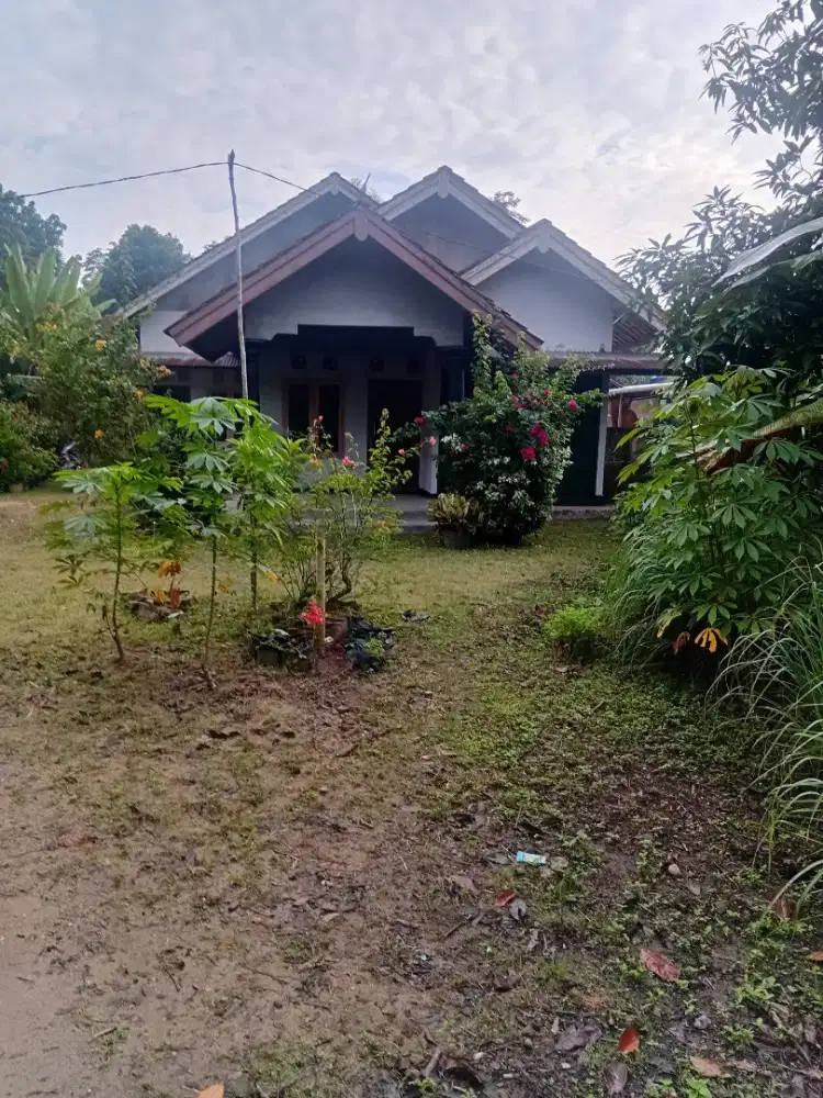 Rumah dijual lokasi strategis,bisa nego