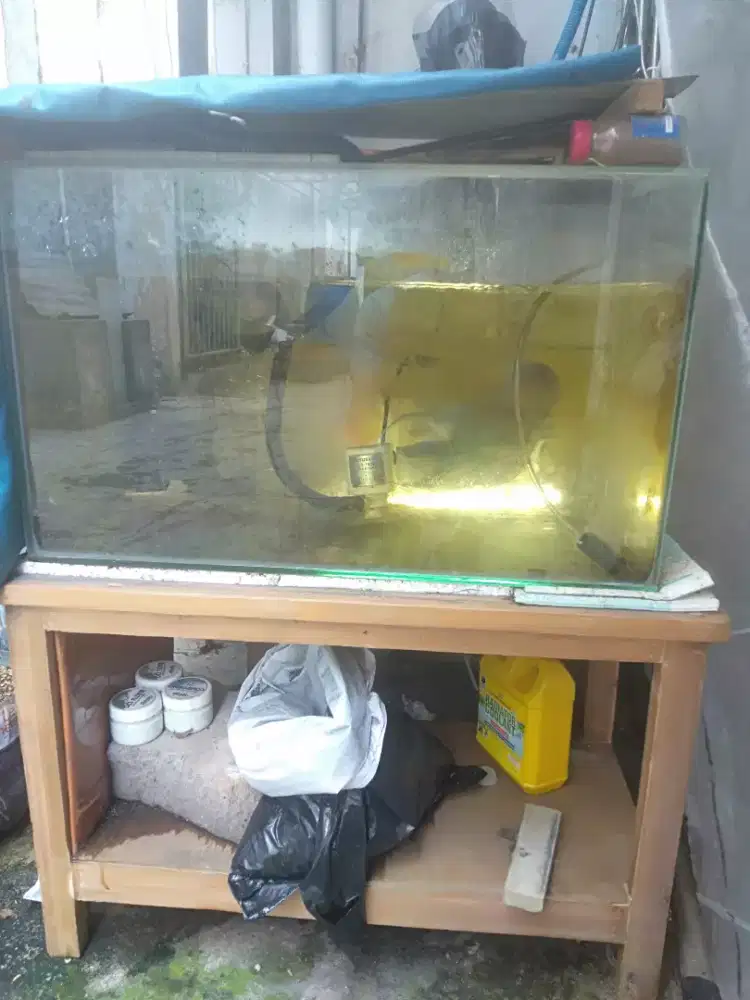 Ikan lohan srd 5jari up+aquarium+pompa+meja+aerator