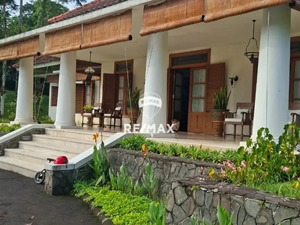 DISEWAKAN VILLA ASRI DI DAERAH CISARUA PUNCAK BOGOR