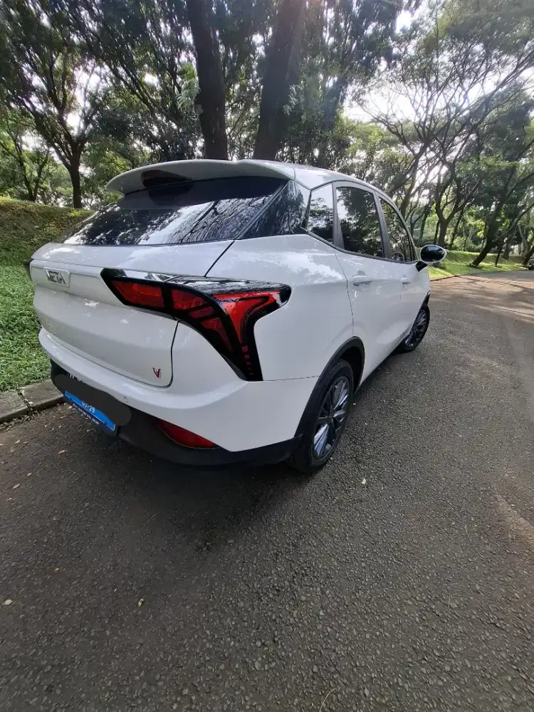NETA V 2024 WARNA PUTIH