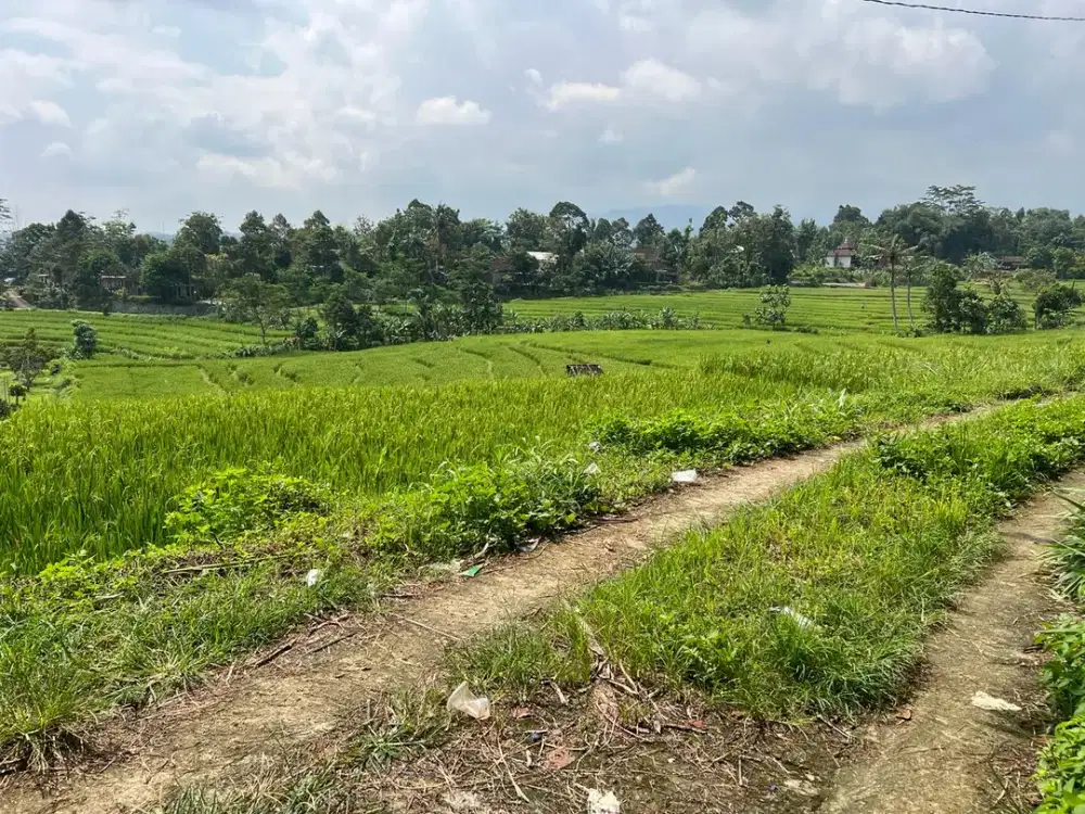 Tanah Produktif 450 Juta Karangpandan