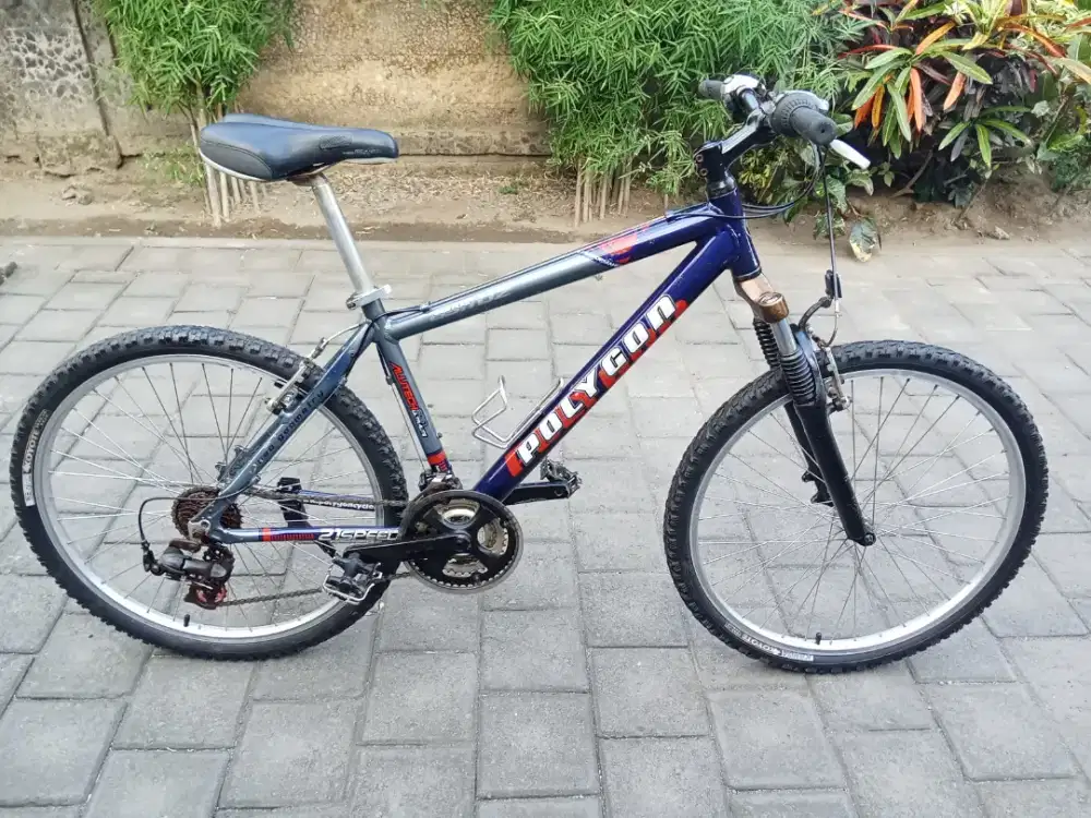 Sepeda POLYGON ASTROZ R 26