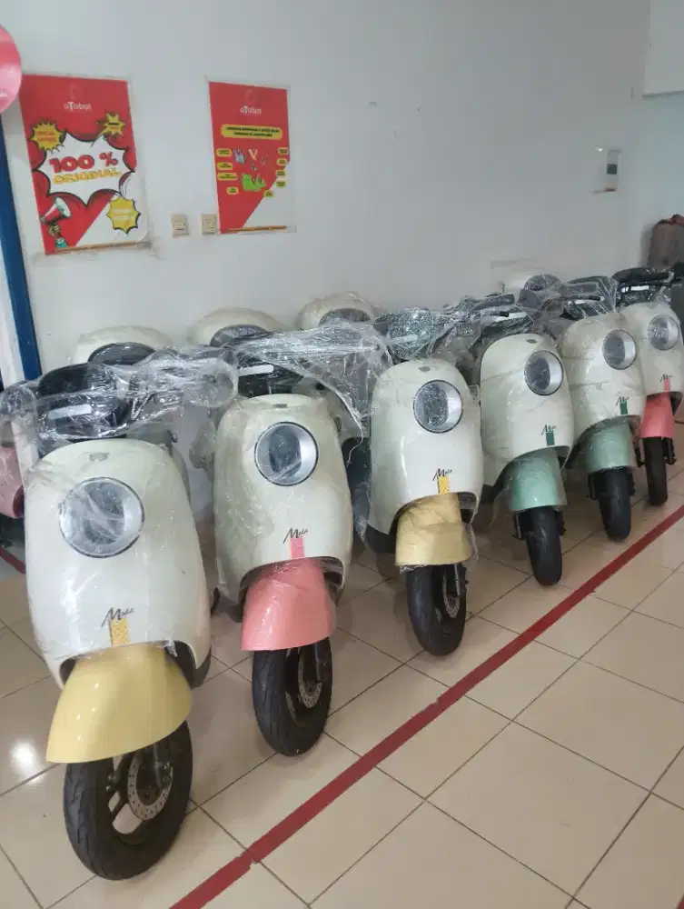 Sepeda Listrik Luyuan Moda 2