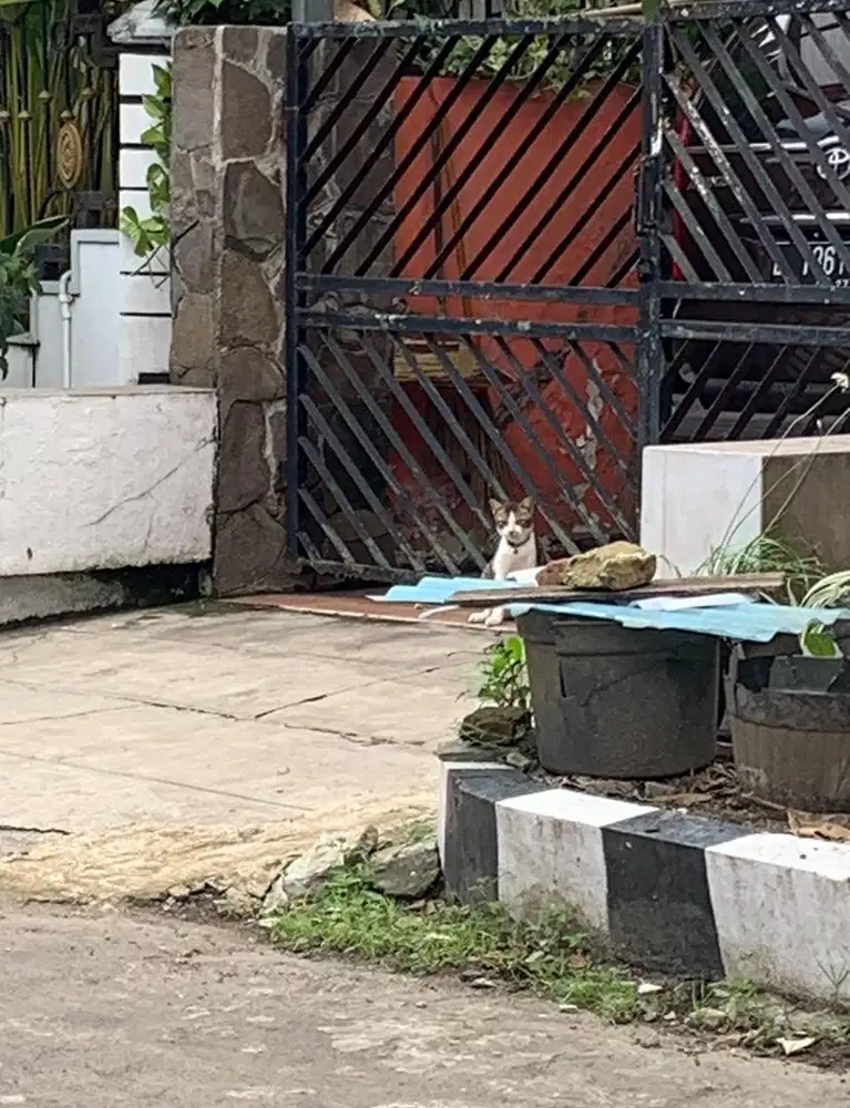 ART Asisten Rumah Tangga Surabaya