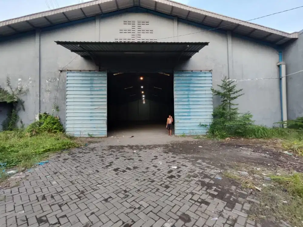 Disewa Gudang Bagus dan Lokasi Strategis di Romo Kalisari, Surabaya