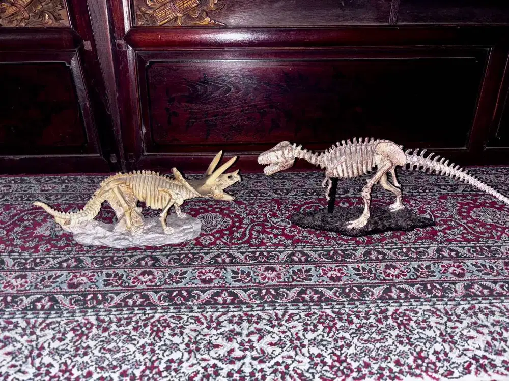 Dijual model kerangka T-rex tyrannosaurus dan Triceratops