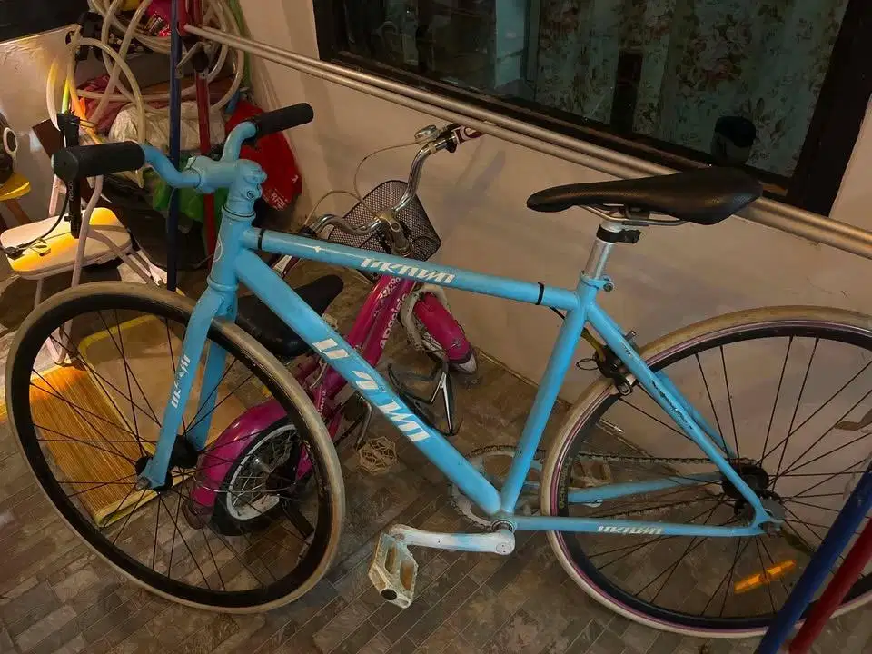 Sepeda Fixie Jual Cepat