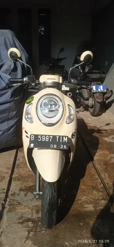 Scoopy fashion 2021