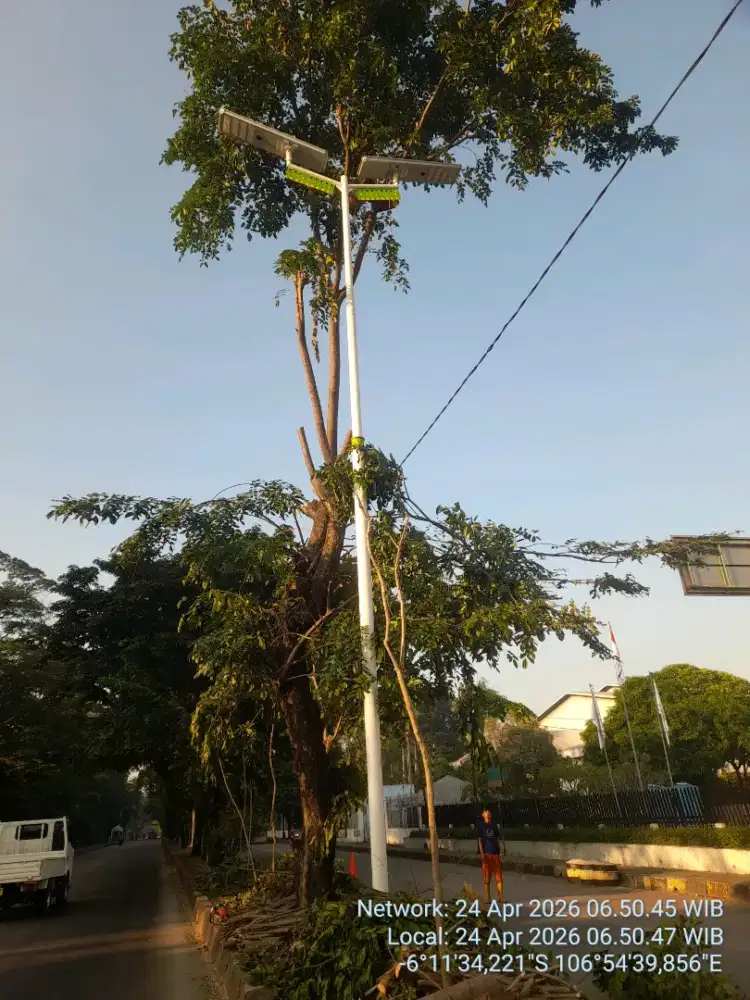Jasa tebang pohon & pangkas
