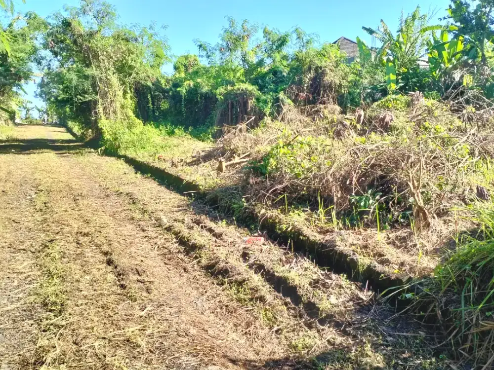 DIJUAL TANAH 1,25 ARE lokasi Puri Ayodya, ds. Nyitdah, Kediri, Tabanan