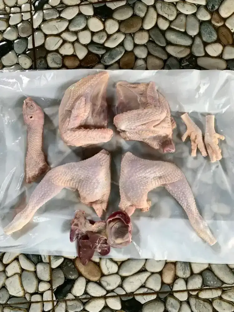 Cari karyawan perempuan bagian masak