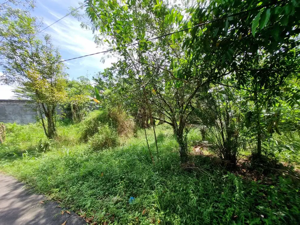 Jual tanah area Bandara Banjarbaru seluas 600 mtr persegi