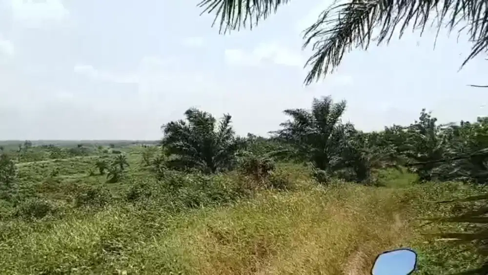 DIJUAL LAHAN 176-500 HEKTAR, CIBALIUNG, PANDEGLANG KABUPATEN