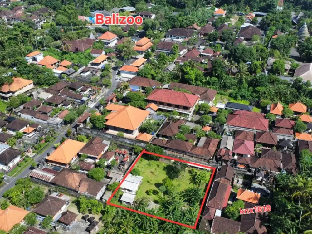 BUC Tanah 9 are dekat Bali ZOO Gianyar Bali