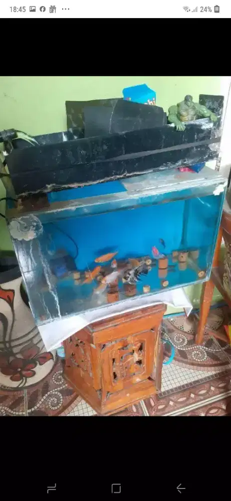 Dijual aquarium plus ikan
