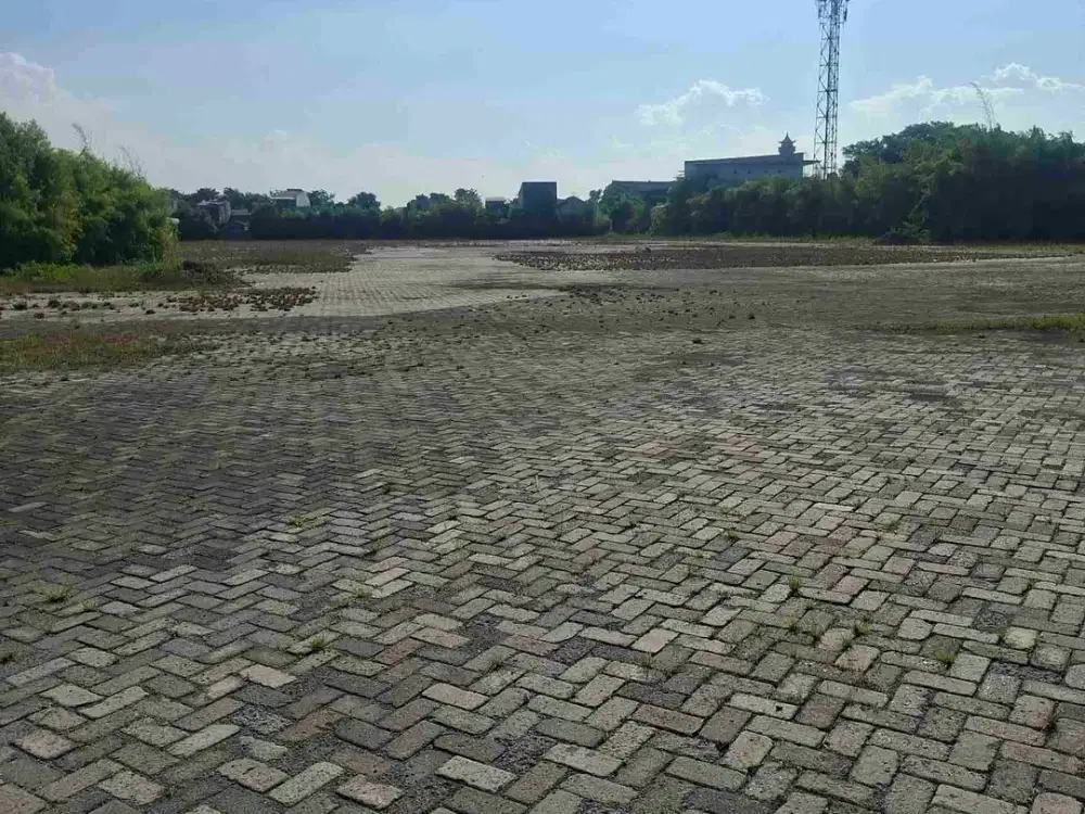 open yard