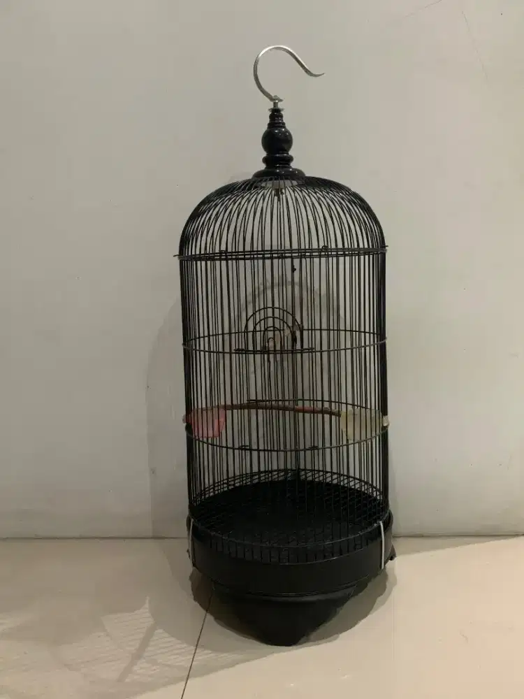 Sangkar Burung Lovebird