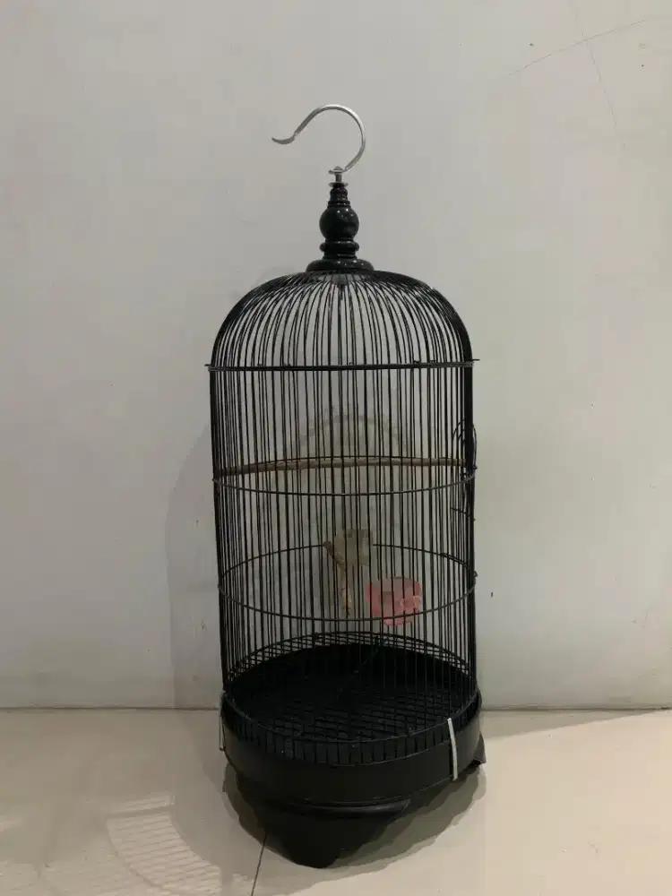 Kandang Burung Kenari