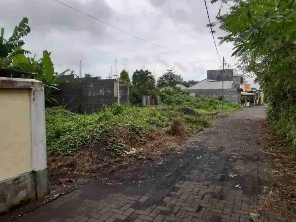 DIJUAL CEPAT TANAH MURAH DAERAH KALAWAT, HARGA DI BAWAH PASARAN