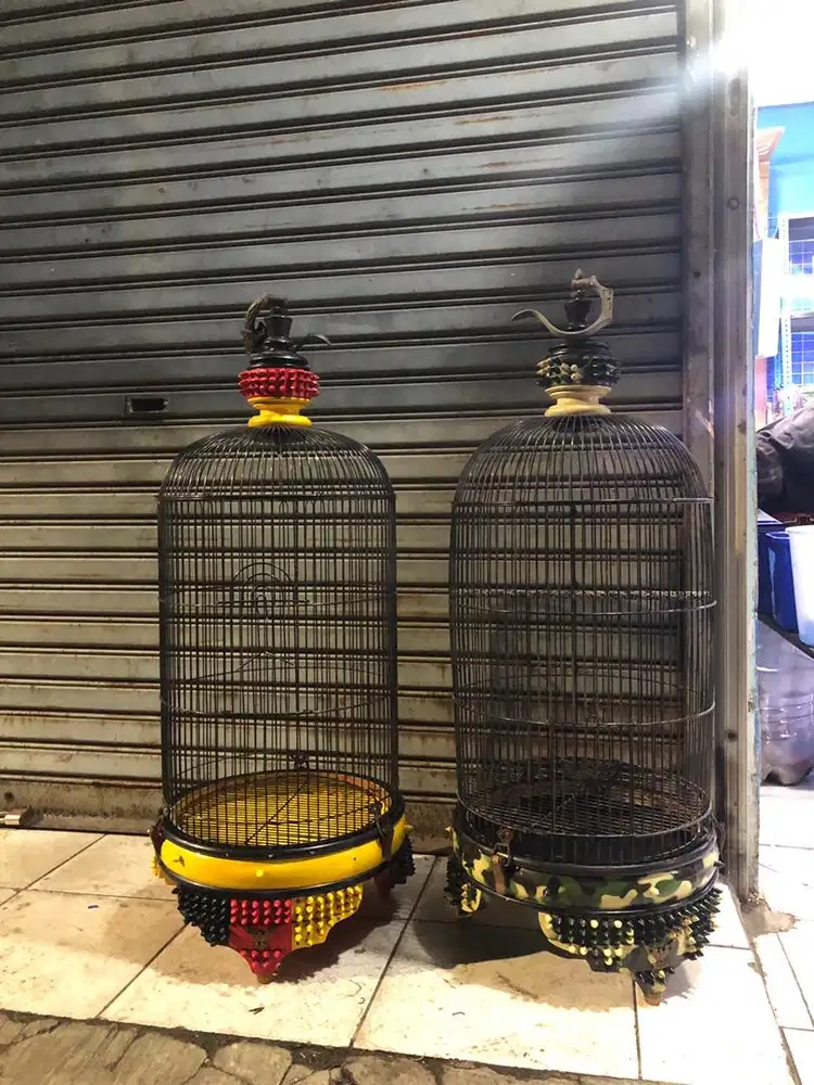 kandang radja spike brand new