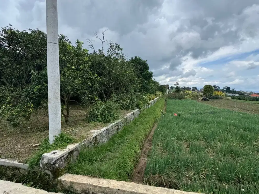 JANGAN SAMPAI NYESEL — Tanah Tengah Kota Batu Harga Segini Langka!