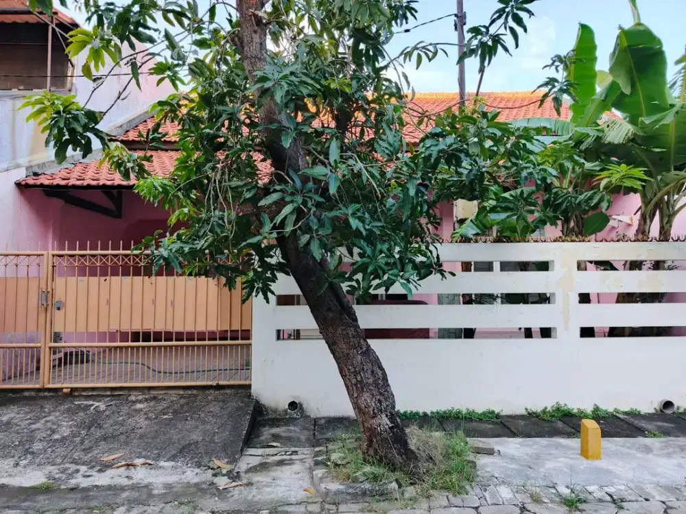 Disewakan Rumah Siap Huni Rungkut Barata Gunung Anyar REV.A523