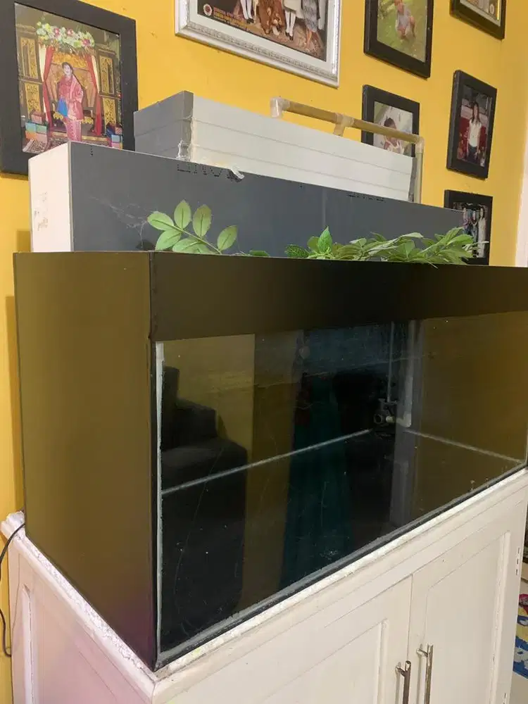 Aquarium Kaca 7mm